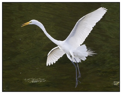 soft landing