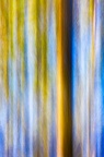 ghudson-Tree Leaves and Sky Vertical Pan