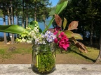 Kathy H- RW&B adirondack wildflowers-1