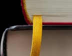 Bob Guido-Book Mark